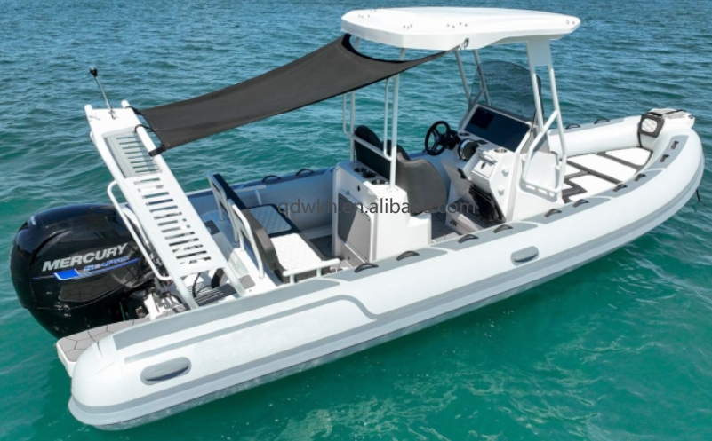 MSCE 인증 스포츠 스타일 더블 모델 알루미늄 480 - Fishing Boat Fiberglass 리뷰 및 가격